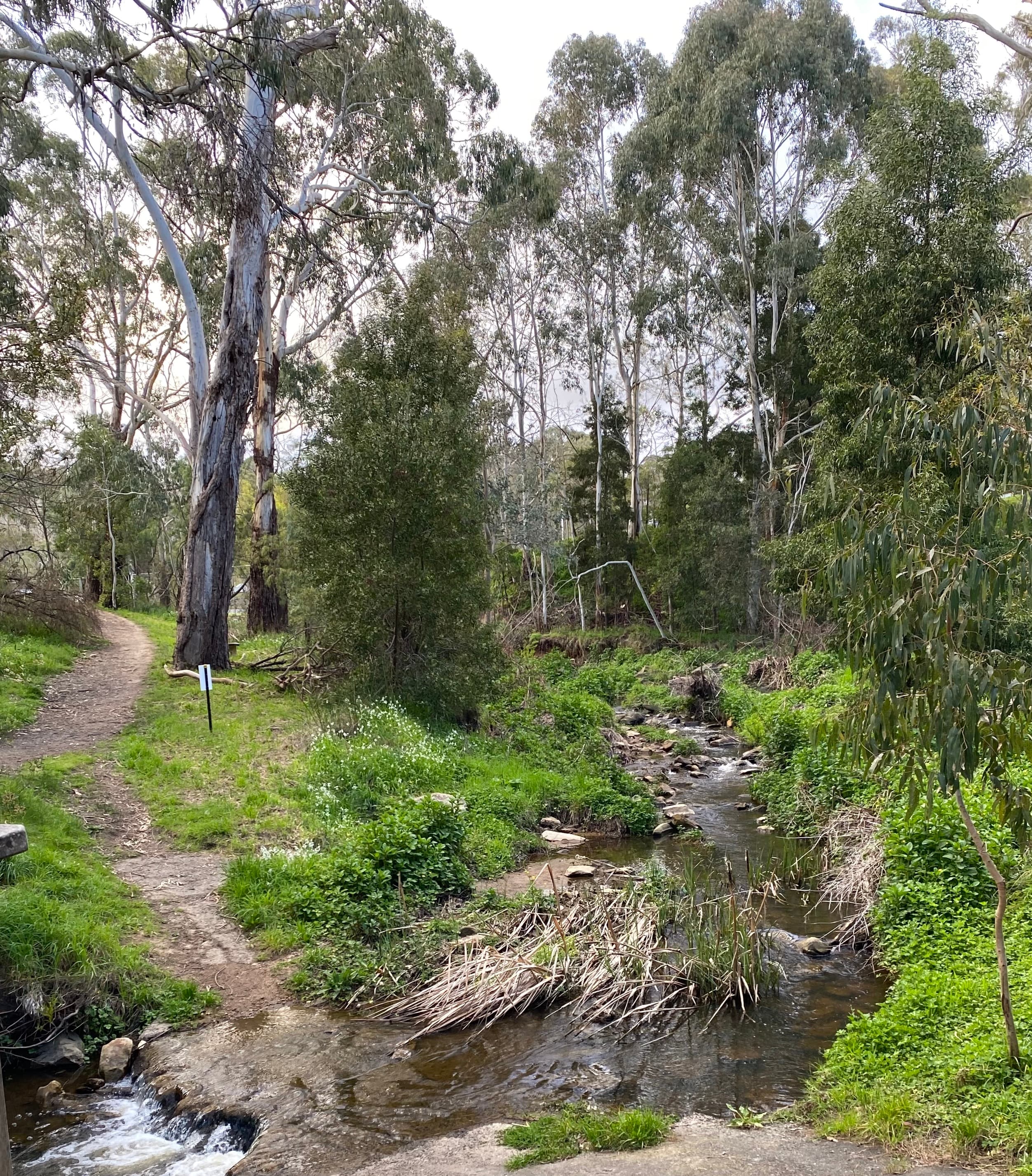 Letters to our Creek - an update