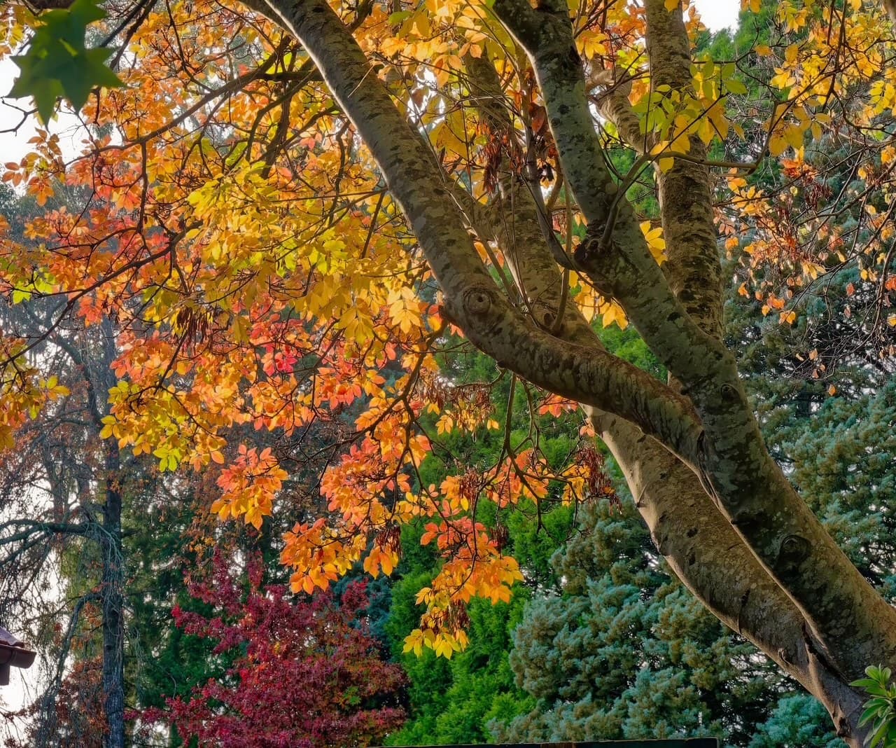 Submission to Adelaide Hills Council's Annual Business Plan & Budget